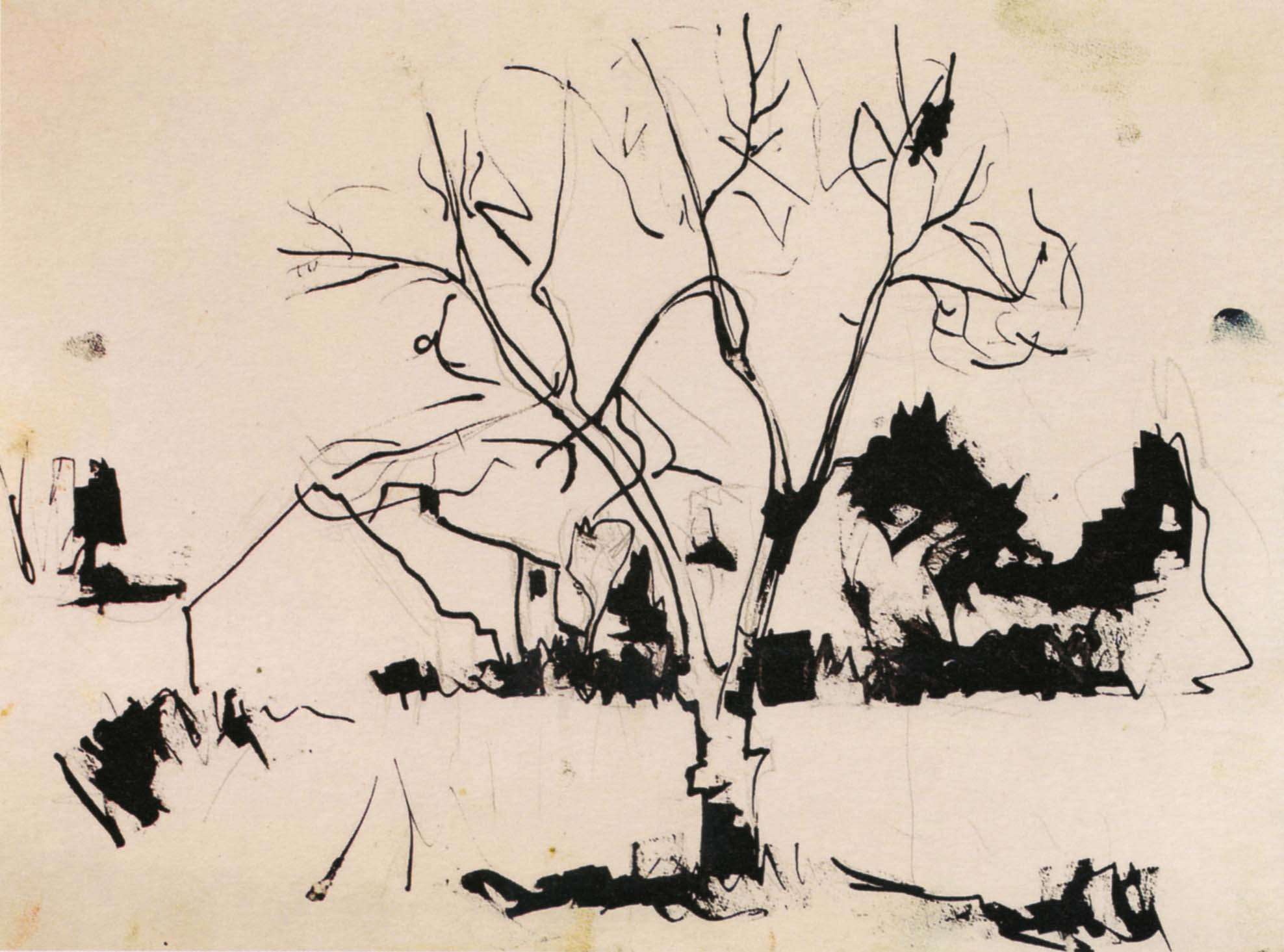 Dessin préparatoire