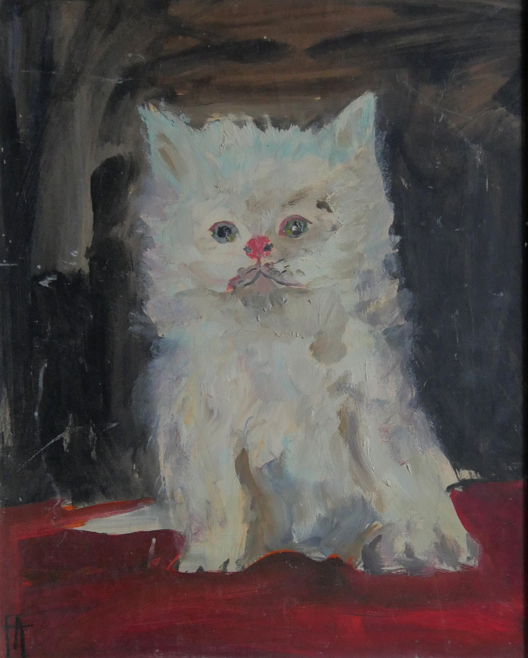 Chaton blanc